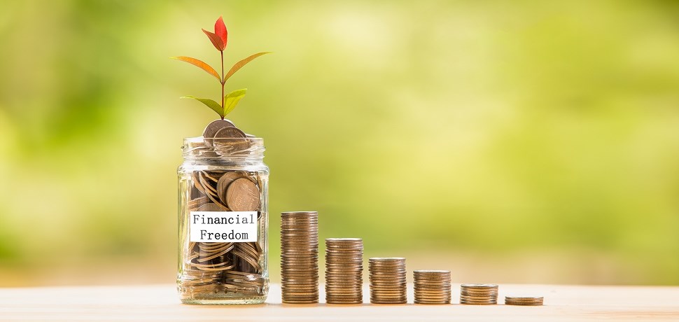 The Art of Patient Prosperity: Financial Freedom for Young Professionals